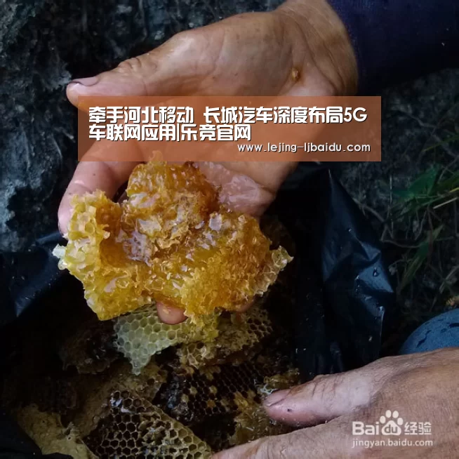 牵手河北移动 长城汽车深度布局5G车联网应用|乐竞官网(图2)