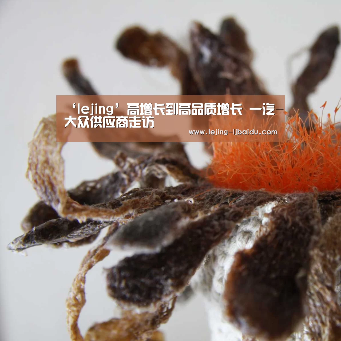 ‘lejing’高增长到高品质增长 一汽-大众供应商走访