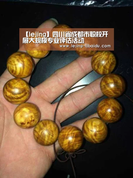 【lejing】四川省成都市职校开展大规模专业评估活动(图4) 乐竞