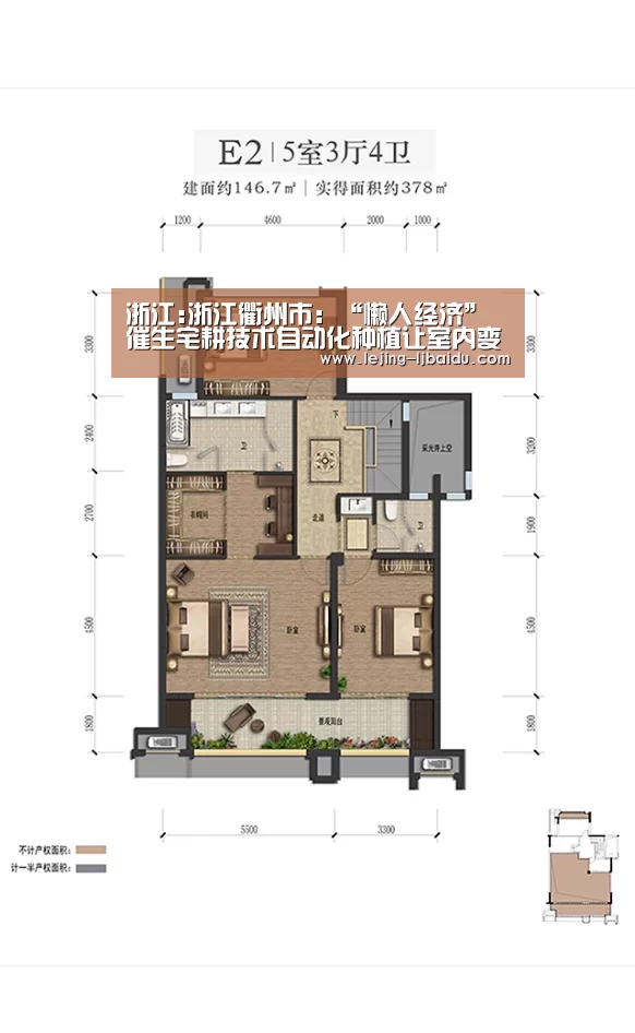 浙江:浙江衢州市：“懒人经济”催生宅耕技术自动化种植让室内变“花园”【乐竞体育】