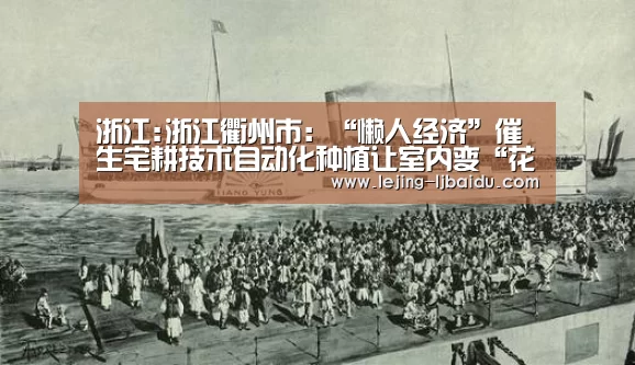 浙江:浙江衢州市:“懒人经济”催生宅耕技术自动化种植让室内变“花园”【乐竞体育】(图3) 乐竞官网