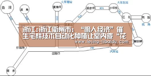 浙江:浙江衢州市:“懒人经济”催生宅耕技术自动化种植让室内变“花园”【乐竞体育】(图2) 乐竞体育