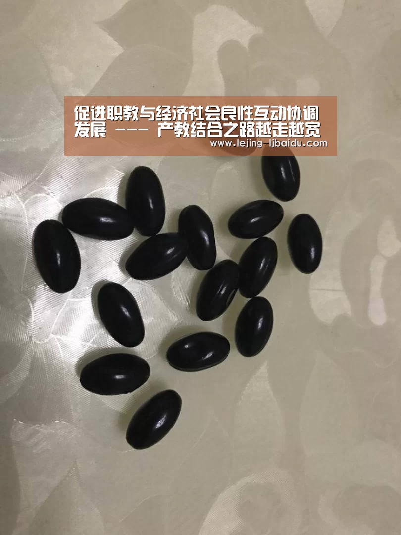 促进职教与经济社会良性互动协调发展 --- 产教结合之路越走越宽-乐竞