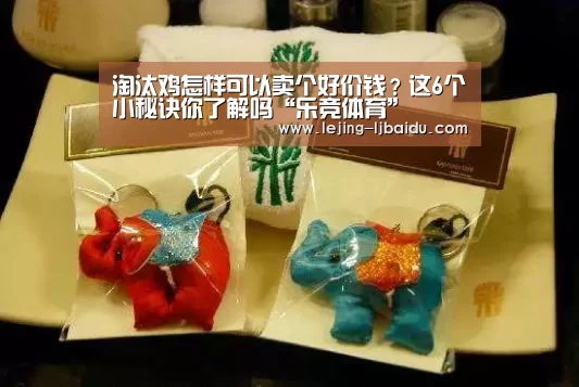 淘汰鸡怎样可以卖个好价钱？这6个小秘诀你了解吗“乐竞体育”