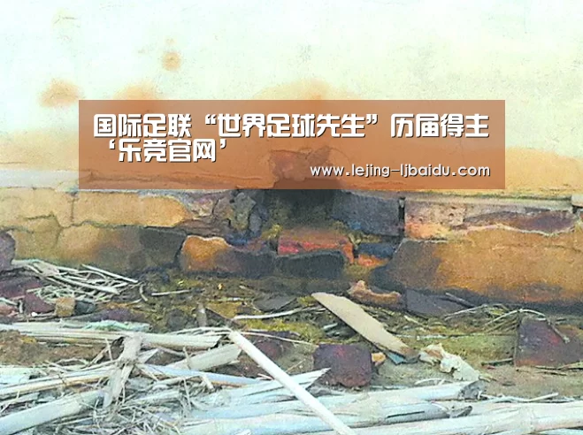 国际足联“世界足球先生”历届得主‘乐竞官网’(图4)